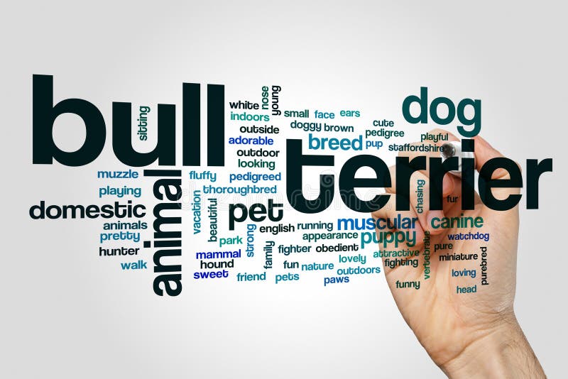 Word BULL MARKET Composed Of Wooden Letter. Stacks Of Coins In The
