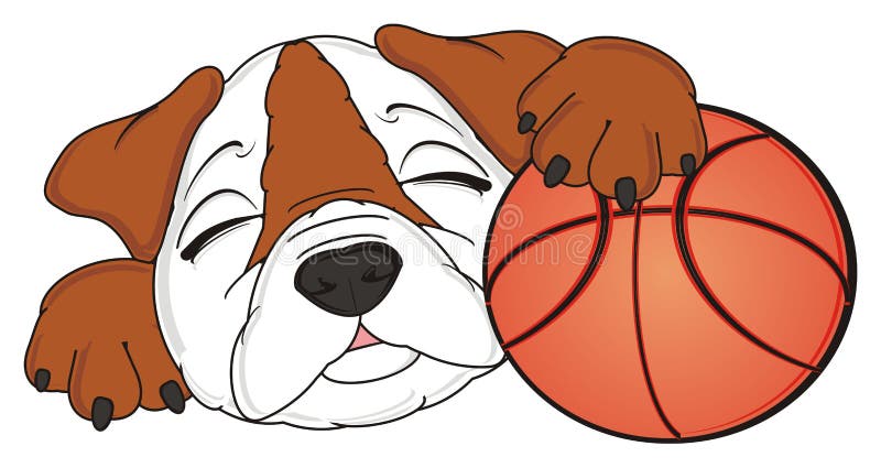 Bulldog Basketball Stock Illustration - Download Image Now