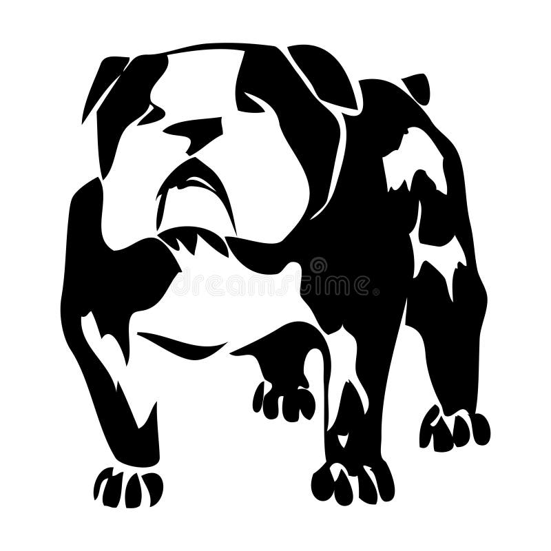 Pencil Drawing of Bulldog stock illustration. Illustration of strength ...