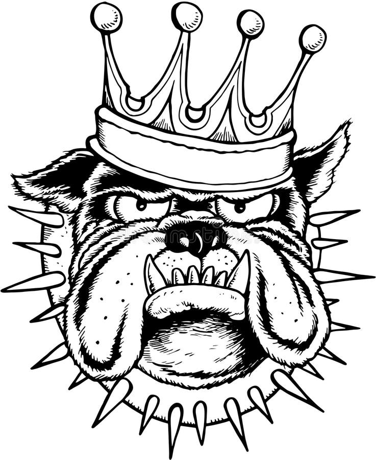 Bulldog king