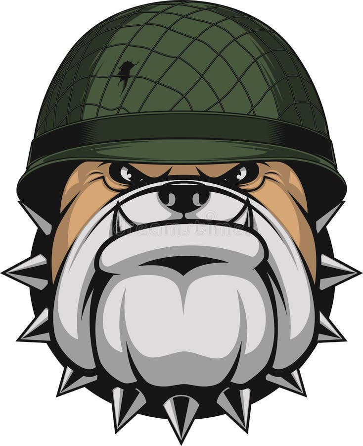 Bulldog in a soldier`s helmet
