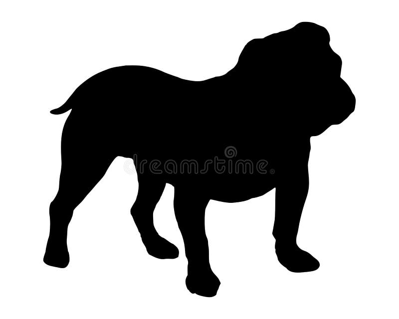 Bulldogge inglese illustrazione vettoriale. Illustrazione di siluetta ...