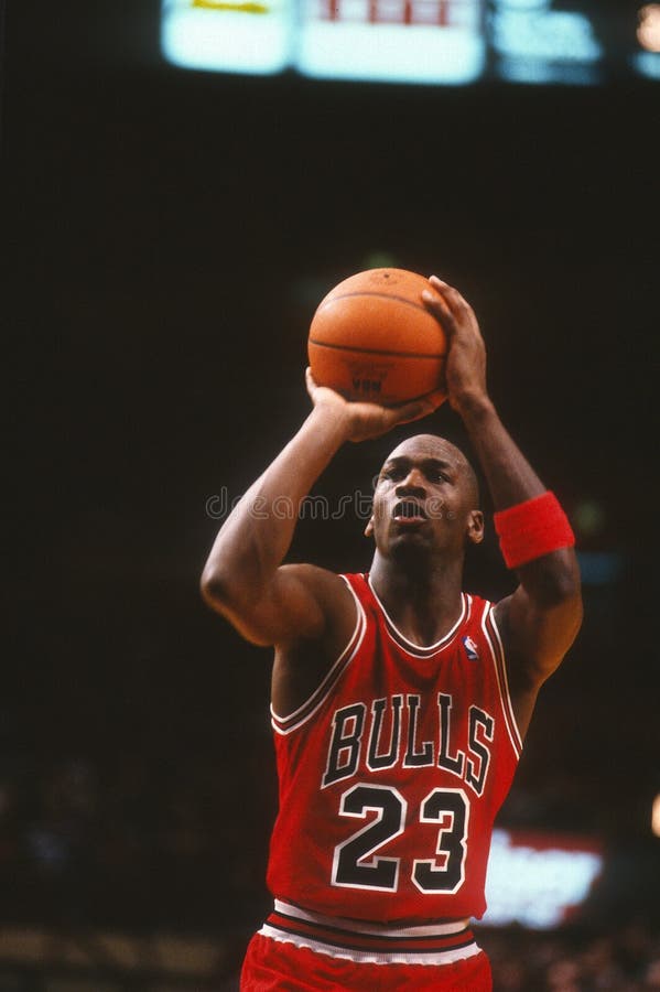 Bullen Michael Jordan Chicago