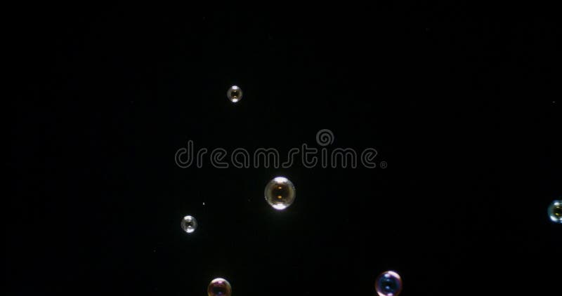 Bulles de soupe d'isolement sur le fond noir photo stock Bulles de soupe d'isolement sur le fond noir photo stock