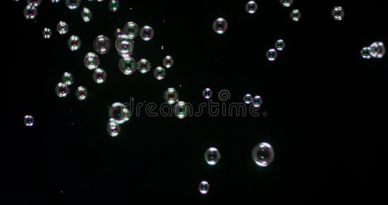 Bulles de soupe sur le fond noir images stock Bulles de soupe sur le fond noir images stock