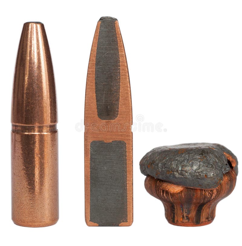 Bullet Cutaway and Mushroom Stock Photo Image of projectile, bronze