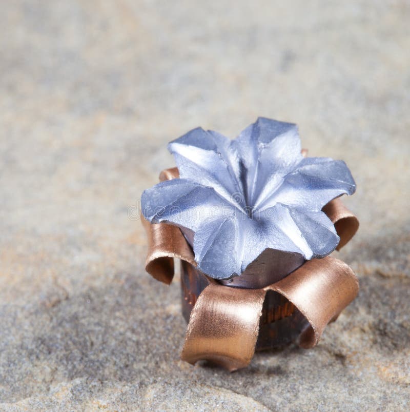 Bullet Mushroom Stock Photos Free & RoyaltyFree Stock Photos from