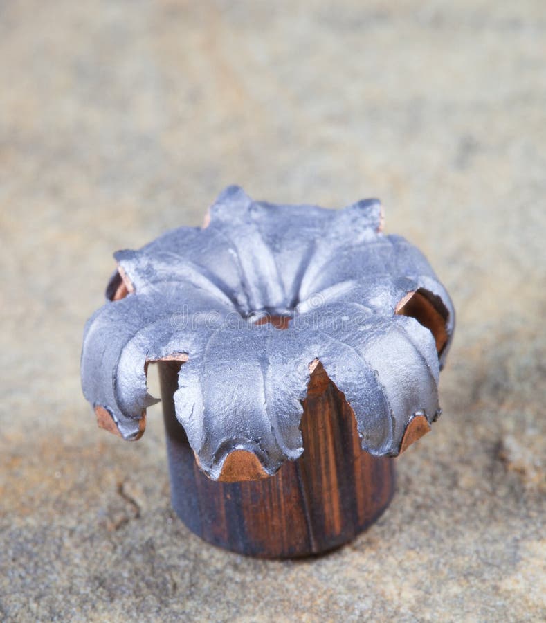 Bullet Mushroom Stock Photos Free & RoyaltyFree Stock Photos from