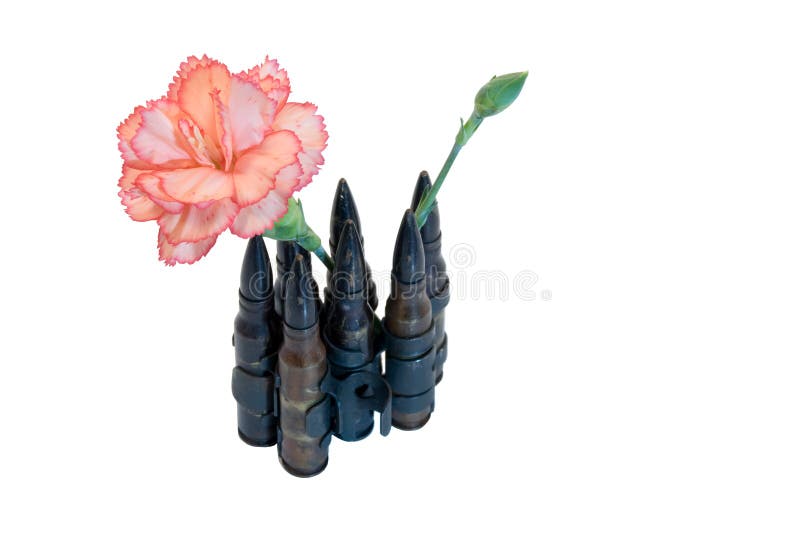 Bullets and a flower stock photo. Image of incompatibility - 4464174