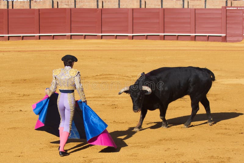 Bullfight, a bull vs a man.