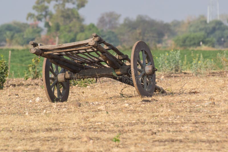 Bullock Cart stock photo. Image of gocart, bullock, chattisgarh - 110836570