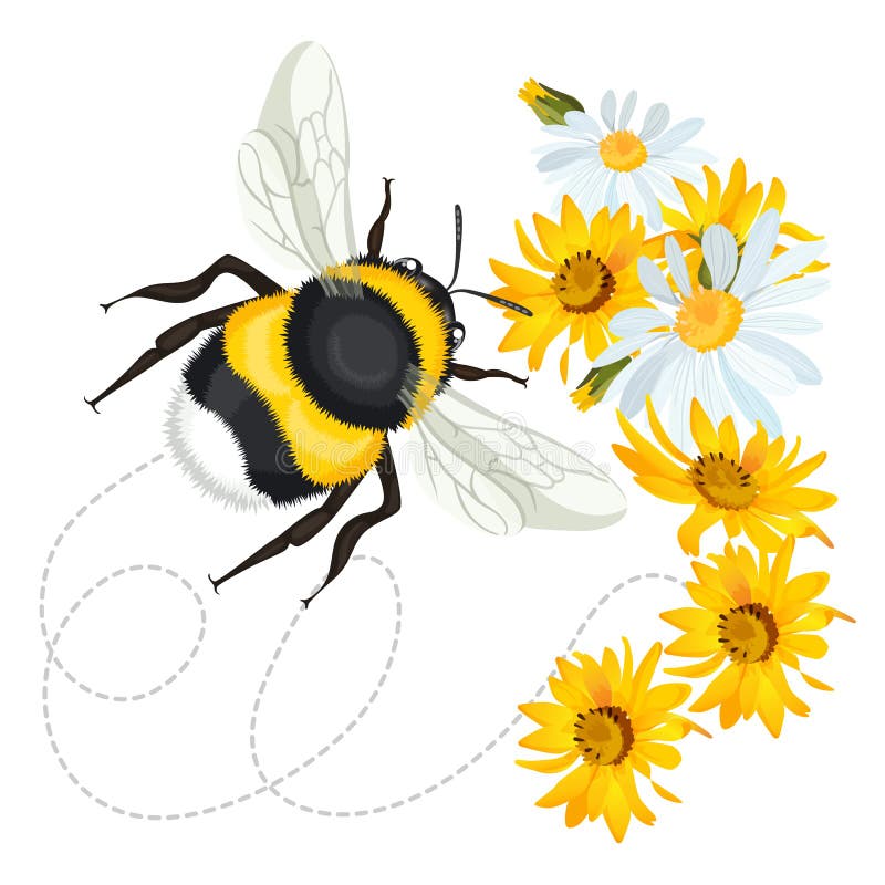 Bee Bumble Stock Illustrations – 12,673 Bee Bumble Stock Illustrations,  Vectors & Clipart - Dreamstime
