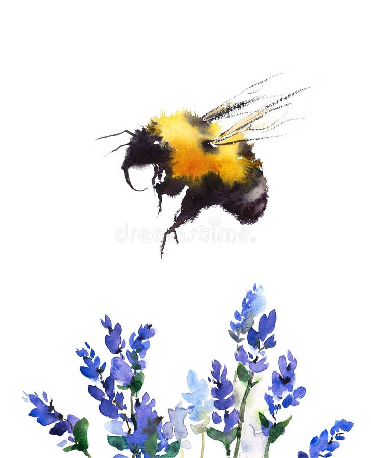 Bumblebee που πετά το μπλε χέρι απεικόνισης Watercolor λουλουδιών που σύρεται πέρα από απεικόνιση αποθεμάτων