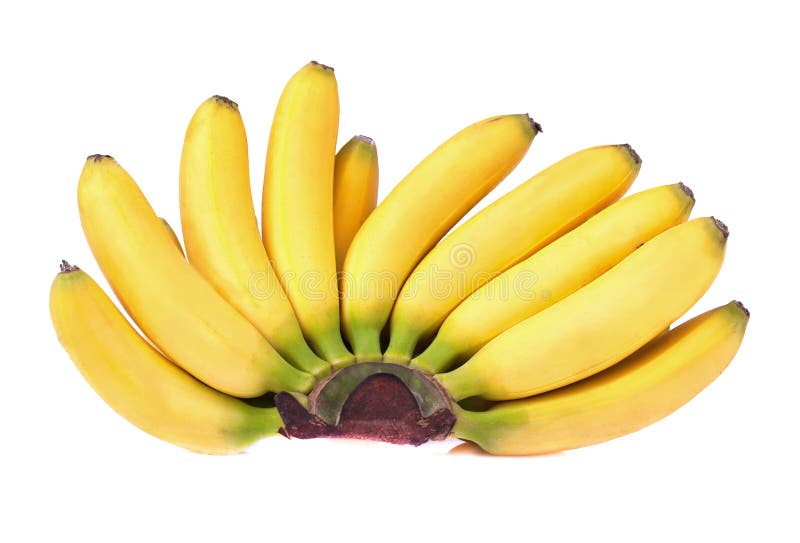 Baby Bananas & Kiwis stock photo. Image of kiwi, brown - 13872488