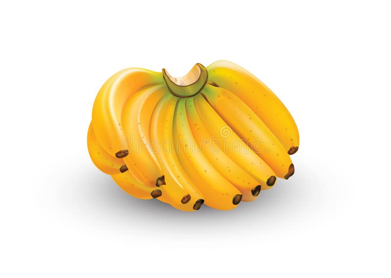 Bunch Bananas in art stock illustration. Illustration of bananas