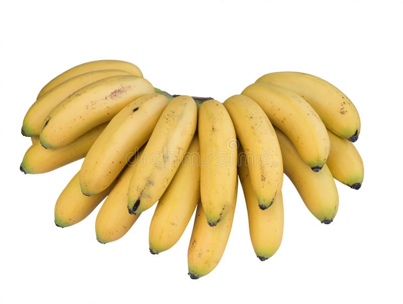 Bunch of bananas stock image. Image of snack, food, tropical - 4673521