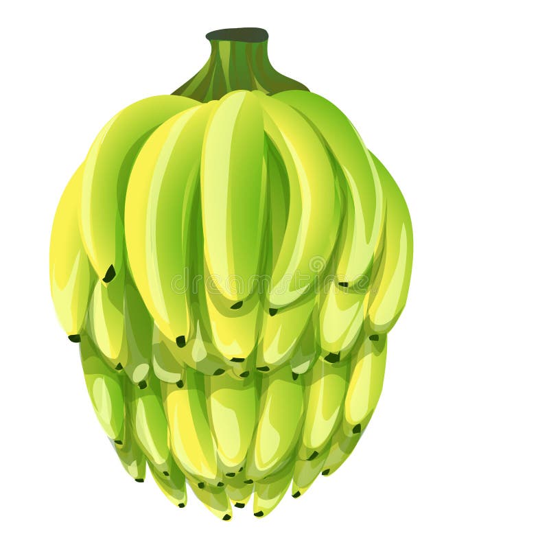 Cartoon Bunch Bananas Stock Illustrations – 932 Cartoon Bunch Bananas Stock Illustrations, Vectors & Clipart - Dreamstime Cartoon Bunch Bananas Stock Illustrations – 932 Cartoon Bunch Bananas Stock Illustrations, Vectors & Clipart - Dreamstime