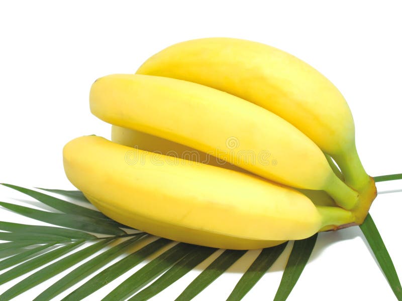 Bunch of bananas isolated on white background