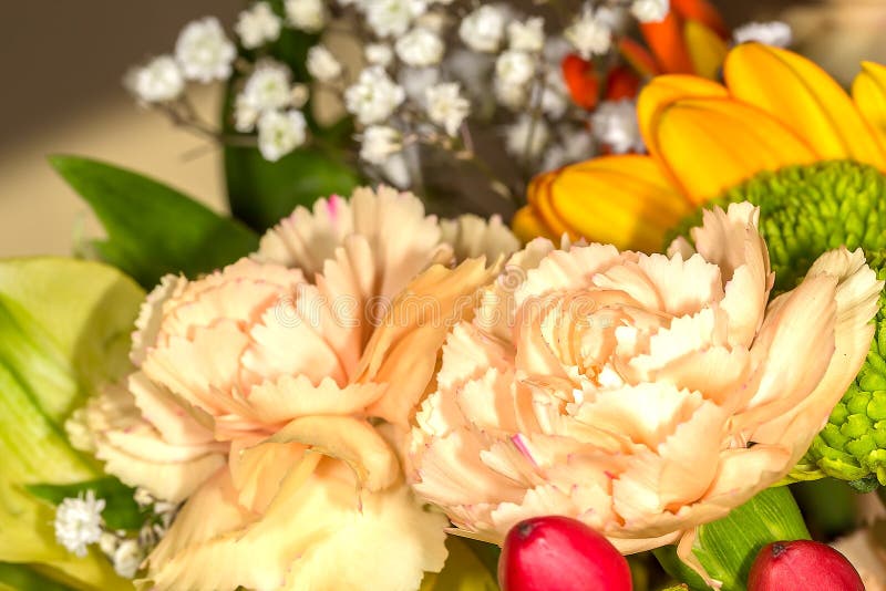 Bunch of Beautiful Flowers with Many Colors Stock Photo Image of