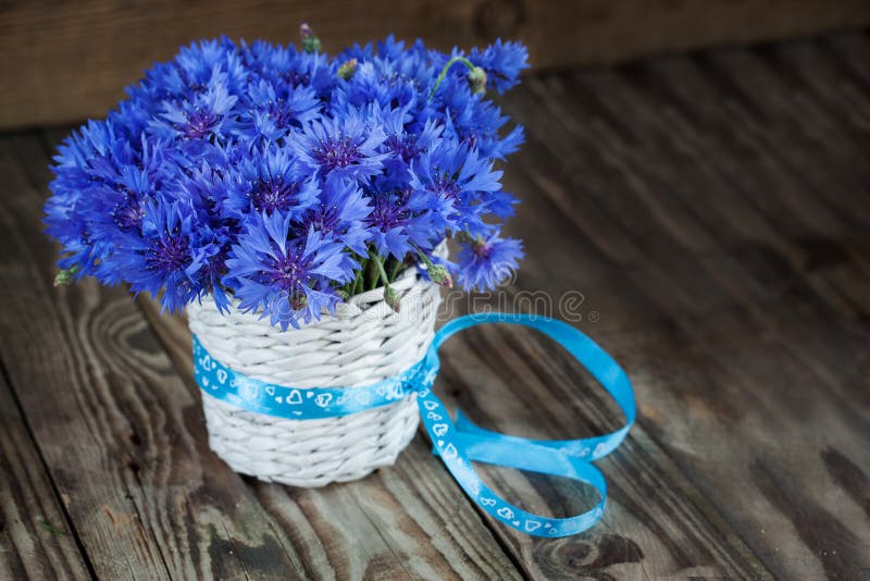 A bunch of beautiful summer flower of Cornflower in the white bu