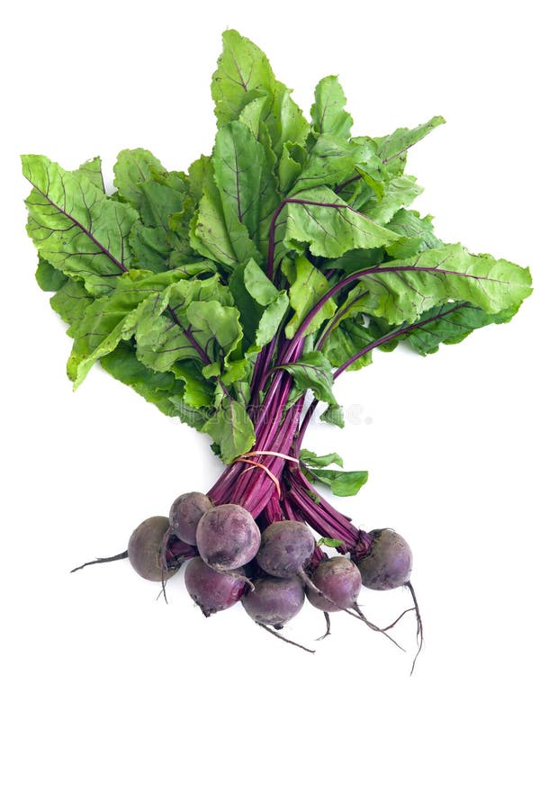 Bunch of Beetroot stock photo. Image of isolated, leaves 22310794