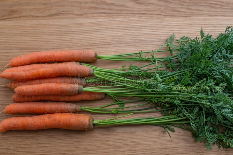 A Bunch Of Carrots. Fresh Raw Carrots With Stems. Garden Carrots Stock