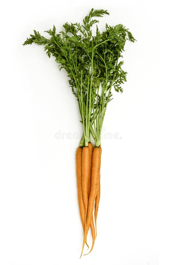 Bunch of Carrots isolated view from above