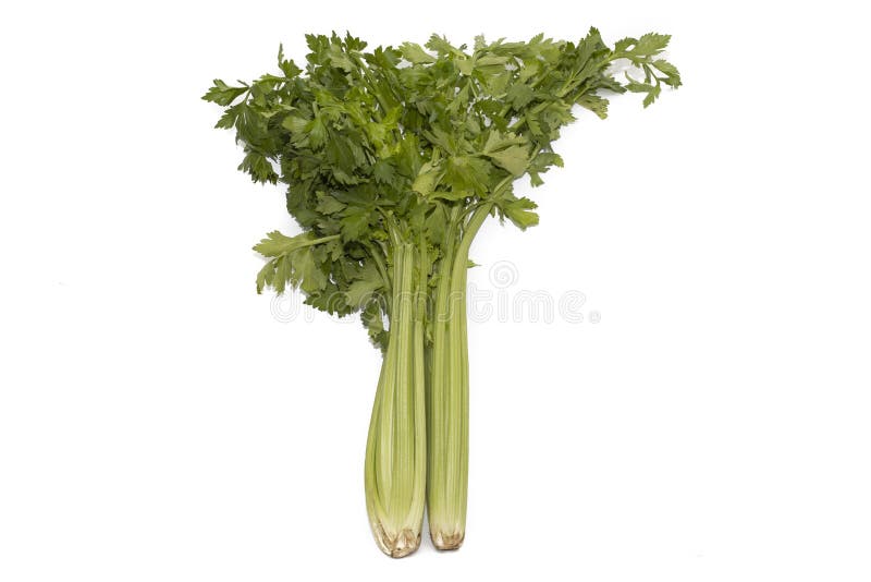 A bunch of celery stock photo. Image of cook, healthy 242823358