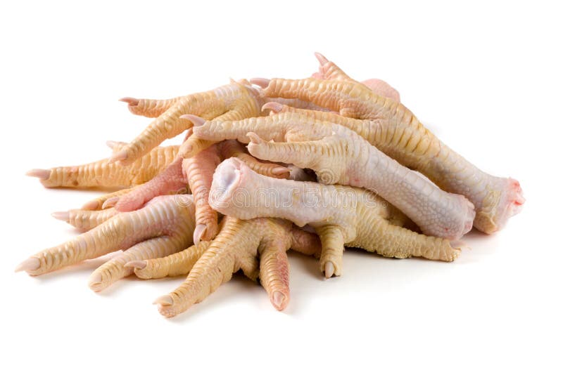 Bunch of Chicken Feet Isolated on White Background Stock Photo - Image