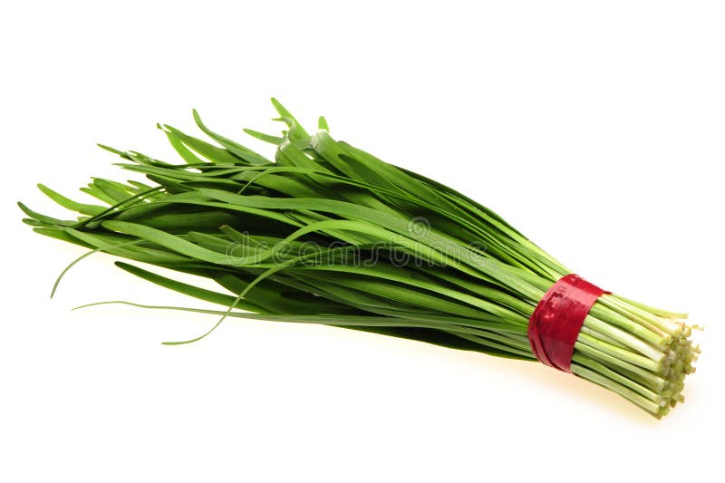 Bunch of Chinese leek