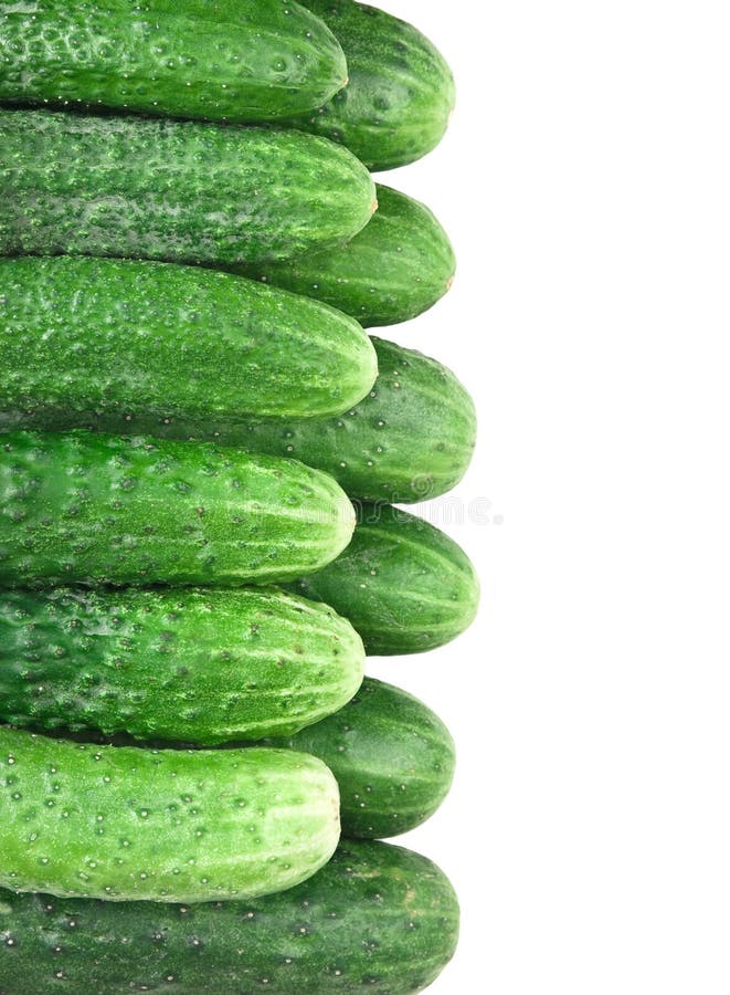 A Bunch of Cucumbers in the Market Stock Photo Image of cucumber