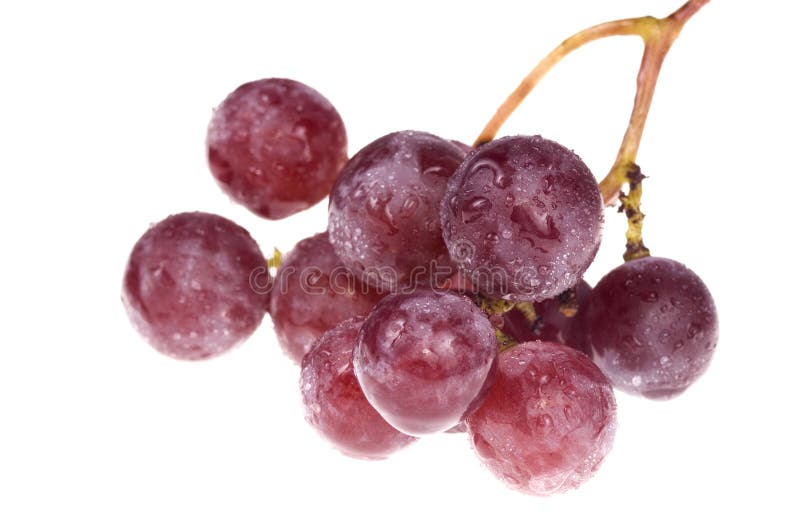 Excelente uvas en blanco.