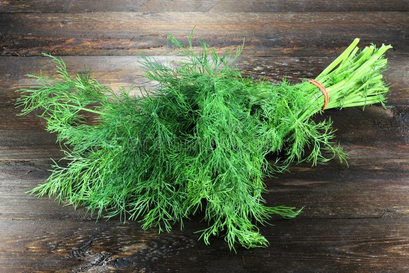 Bunch of dill stock photo. Image of aromatic, graveolens 65995640