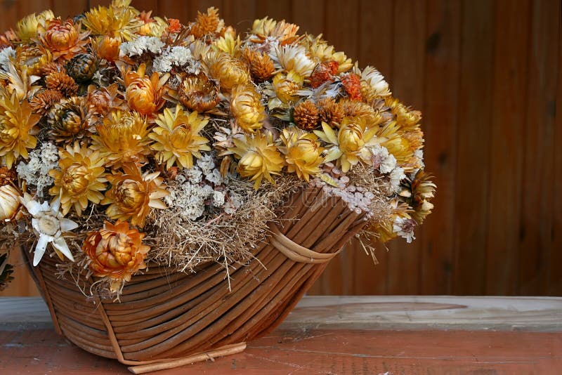 Gate with basket stock photo. Image of leaves, gate, entrance 43398516
