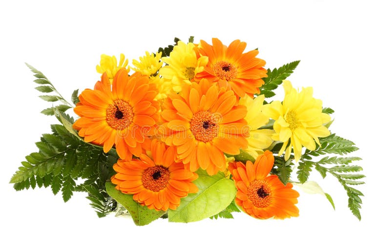 763,491 Bunch Flower Stock Photos Free & RoyaltyFree Stock Photos