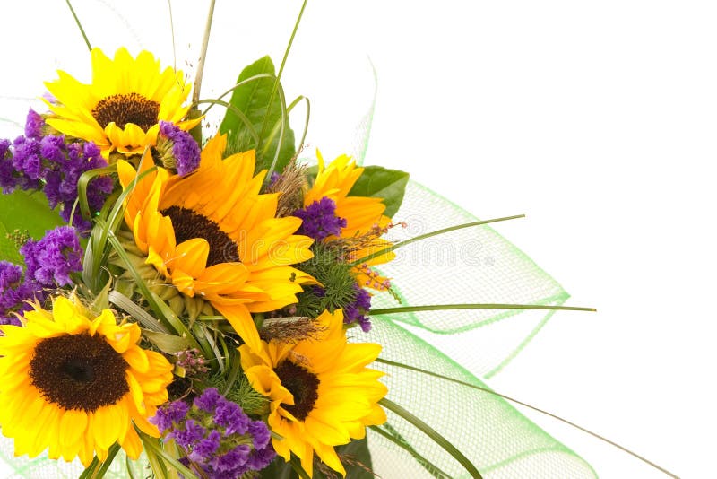Bunch of flowers stock photo. Image of special, bouquet - 3263740