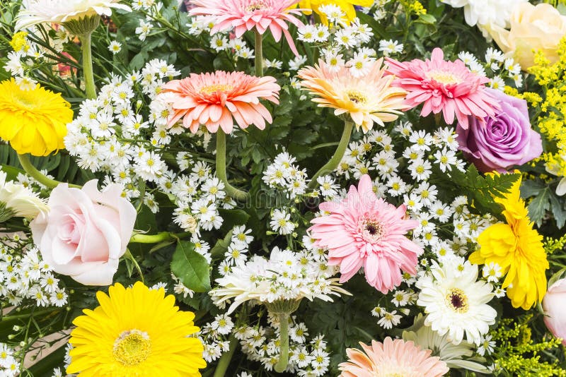 Bunch of flowers stock image. Image of growth, celebration 46078139