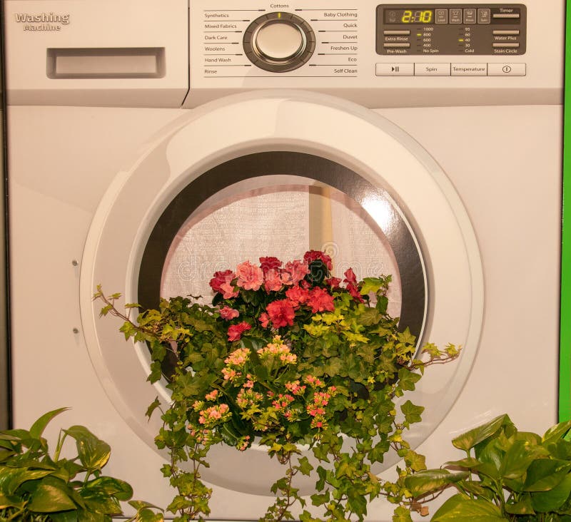 Bunch of flowers coming out of a washing machine