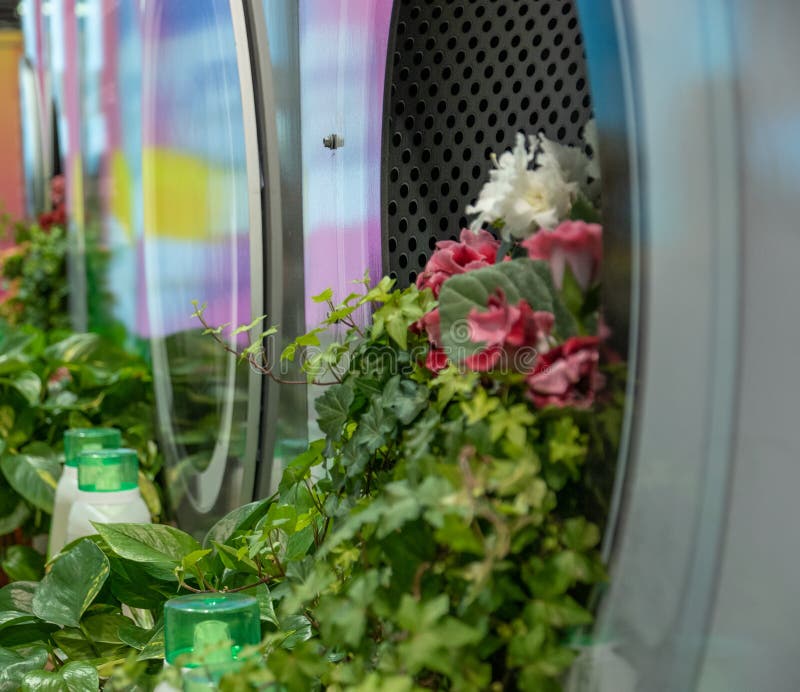 Bunch of flowers coming out of a washing machine