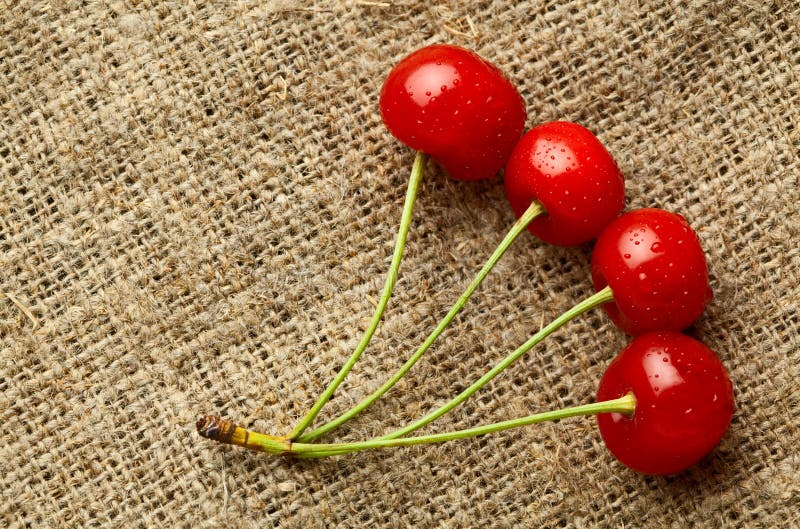 Bunch of Four Cherries Over Bag Stock Photo Image of freshness, bough