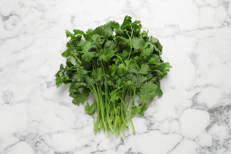 Bunch of Fresh Aromatic Cilantro on White Marble Table, Top View Stock