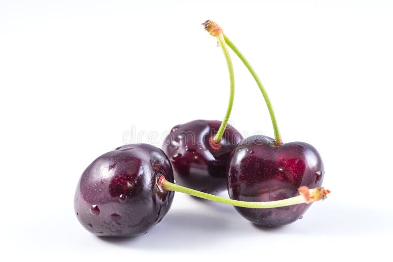 Bunch of fresh dark red cherries isolated royalty free stock photography Bunch of fresh dark red cherries isolated royalty free stock photography