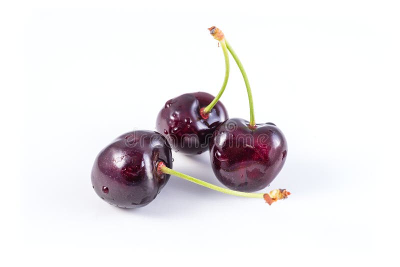Bunch of Fresh Dark Red Cherries Isolated on White Stock Image Image
