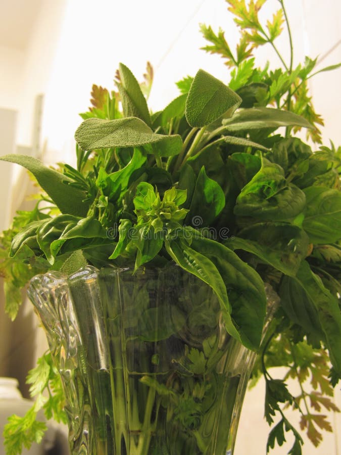 Bunch of Fresh Herbs from Garden in Transparent Vase Stock Image