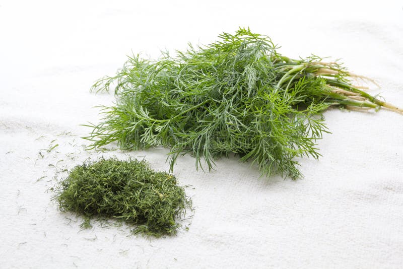 A Bunch of Fresh and a Hill of Dried Dill Stock Photo Image of