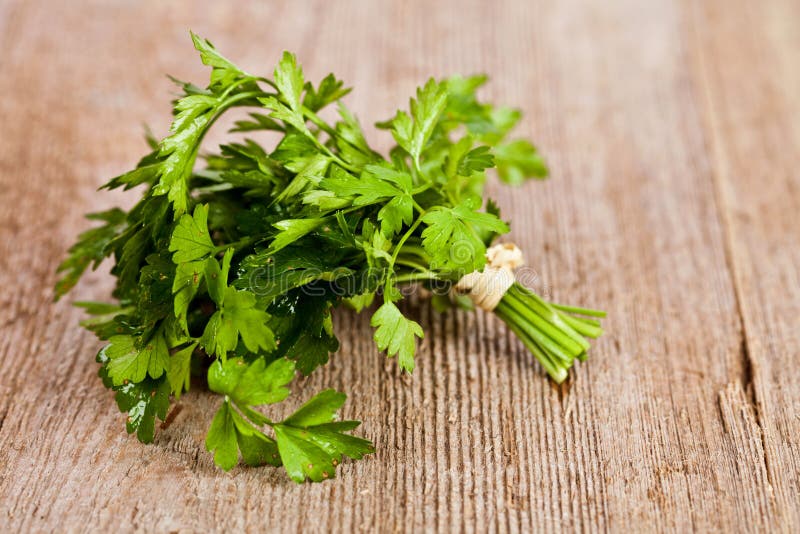 Bunch of fresh parsley