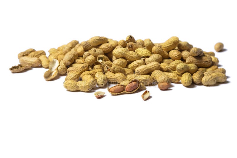 Fresh Raw Peanuts in the Shell Sold at Market Stock Image Image of