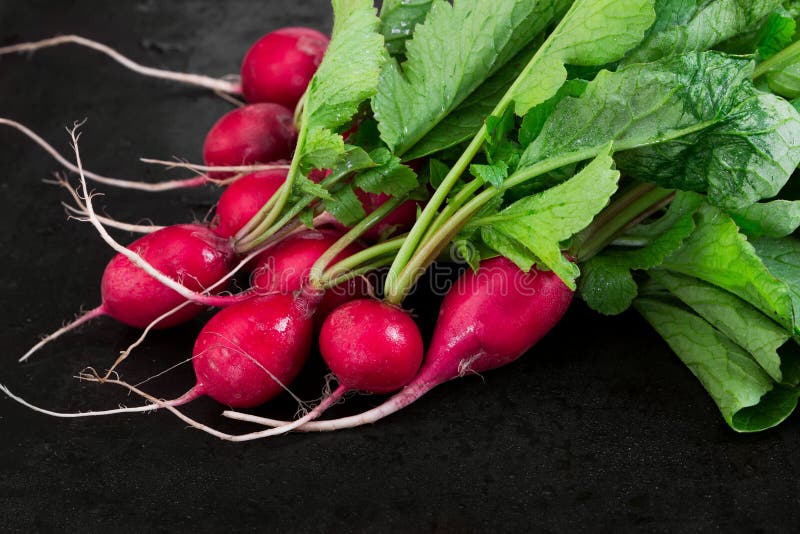 Bunch of fresh radishes on black background.