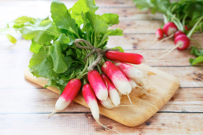 Bunch of fresh radishes