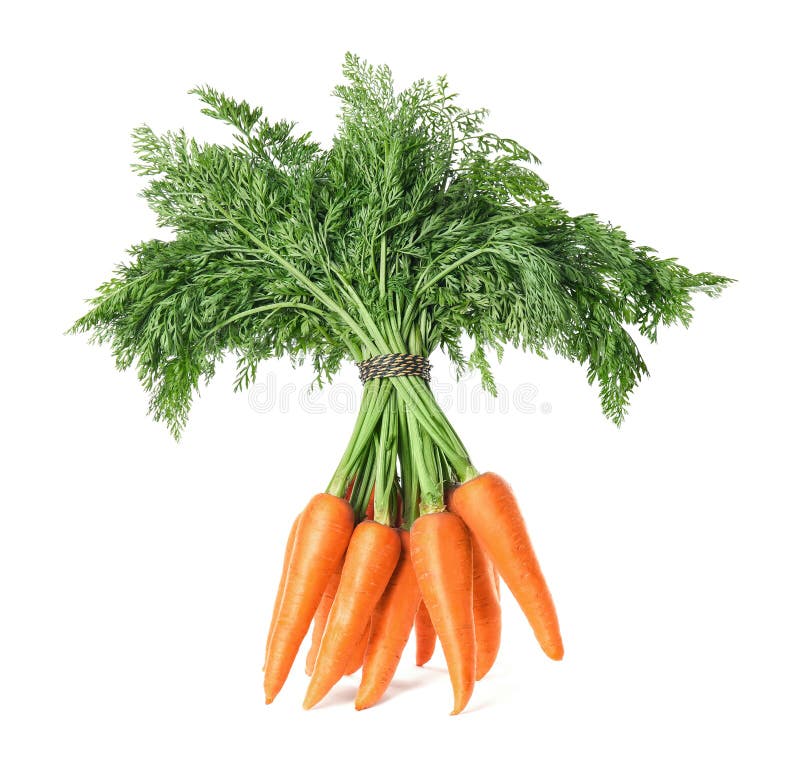 Bunch of fresh ripe carrots isolated. On white